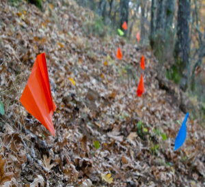 Drapeaux de balisage