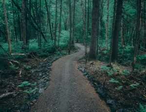 Sentier au Centre Castor- Valcartier