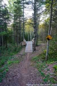 Nouvelle piste Flow du réseau entretenu par Le club cycliste La meute à Rivière-du-Loup