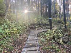 Photo: Trailforks