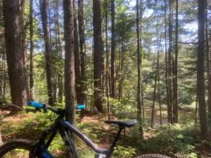 Photo: Trailforks