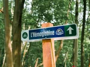 Signalisation - Donnacona