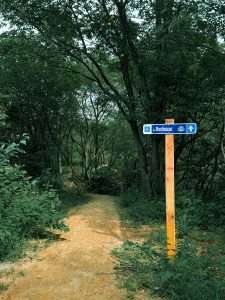 Signalisation - Donnacona