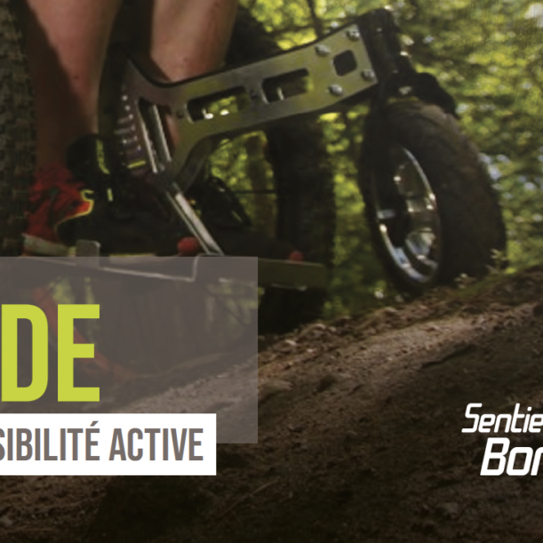 Guide Accessibilité Active