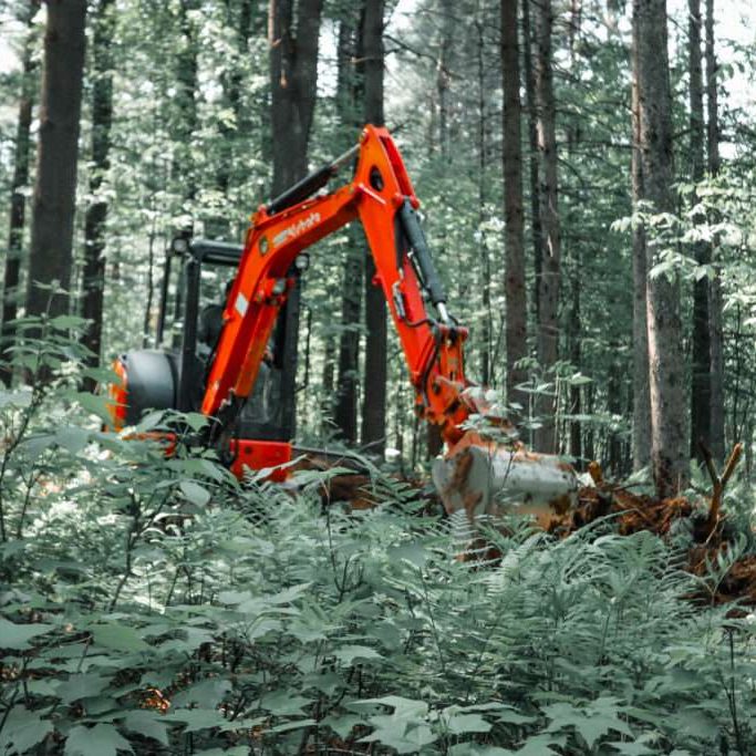 Pelle mécanique dans la forêt