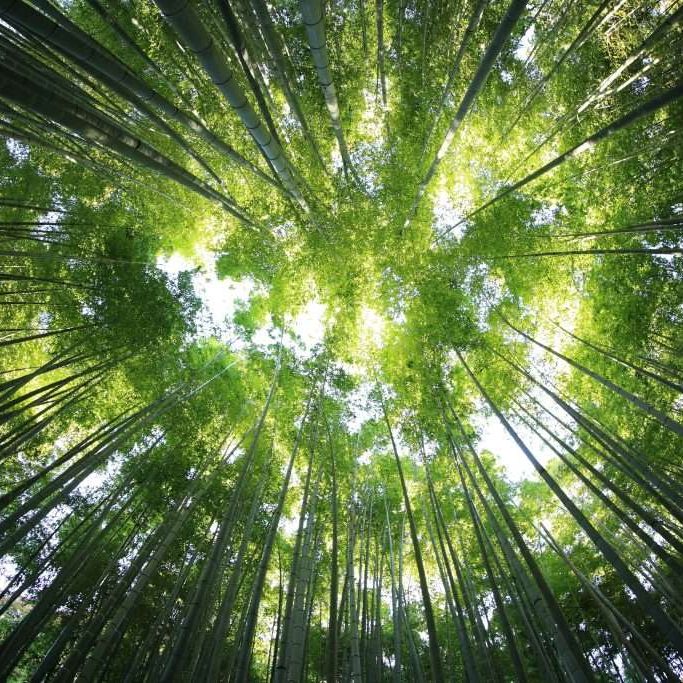 Credit photo: Kazuend-Unsplash